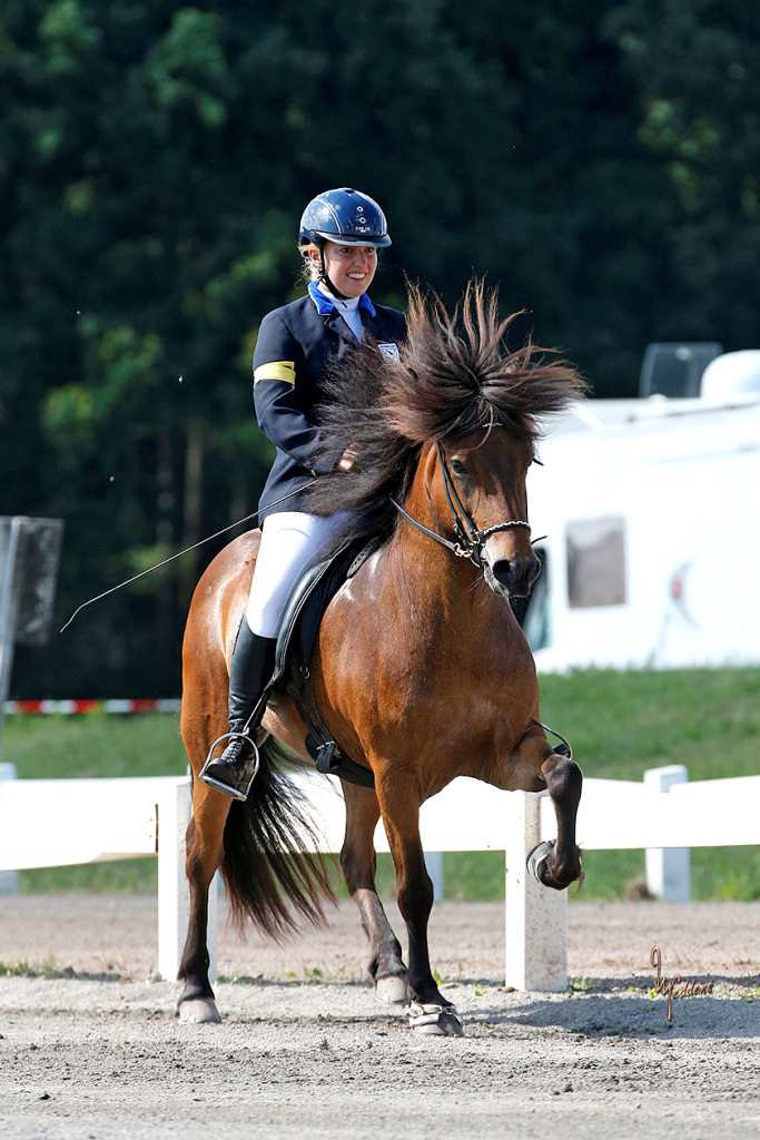 Tagesreitkurs mit Annika Jörger